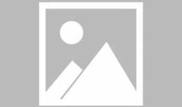 poro动漫,奇幻世界中的友谊与冒险之旅