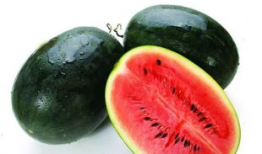 广西北流吃瓜爆料,揭秘广西北流吃瓜爆料背后的故事